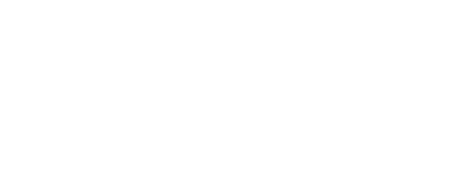 Conector Startup Accelerator